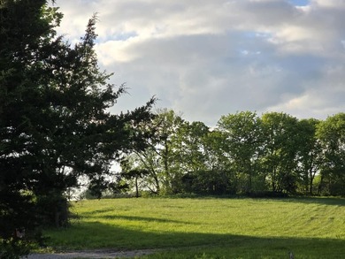 Absolutely beautiful 80-acre tract just off Hwy W! This property - photo 1