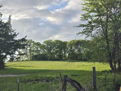 Absolutely beautiful 80-acre tract just off Hwy W! This property - photo 2