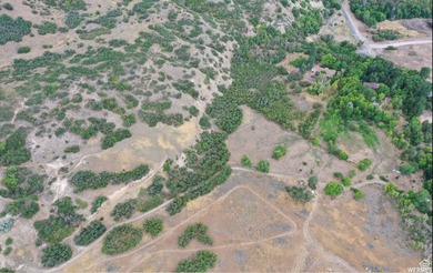 Discover this beautiful property just north of Mapleton Canyon - photo 12