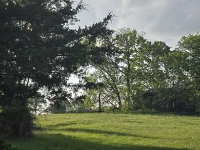Absolutely beautiful 80-acre tract just off Hwy W! This property - photo 3