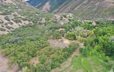 Discover this beautiful property just north of Mapleton Canyon - photo 13