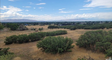 Discover this beautiful property just north of Mapleton Canyon - photo 14