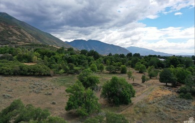 Discover this beautiful property just north of Mapleton Canyon - photo 15