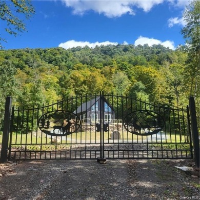 Lake Home For Sale in Livingston Manor, New York