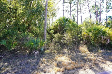 Buy and build or invest and wait. 
Over sized Lot.  Lot size: 0 - photo 2