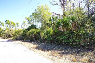 Buy and build or invest and wait. 
Over sized Lot.  Lot size: 0 - photo 3
