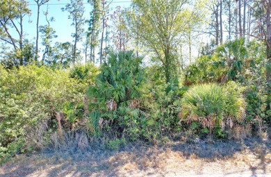 Buy and build or invest and wait. 
Over sized Lot.  Lot size: 0 - photo 4