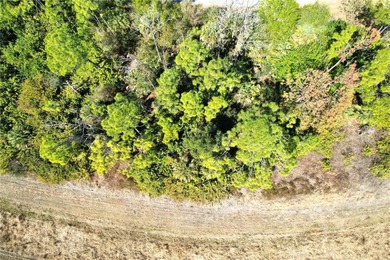 Buy and build or invest and wait. 
Over sized Lot.  Lot size: 0 - photo 7