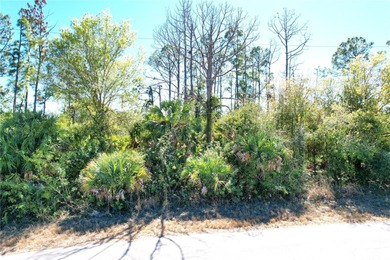 Buy and build or invest and wait. 
Over sized Lot.  Lot size: 0 - photo 9