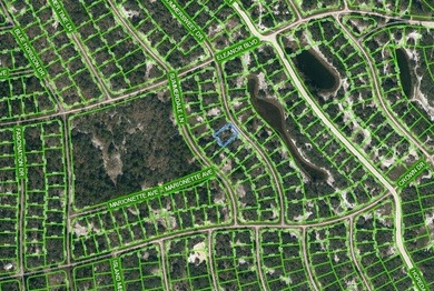 Lake Grassy Lot For Sale in Lake Placid Florida