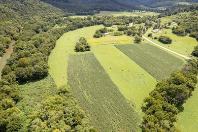 23 Acres on Roaring River Property borders TVA on Roaring River - photo 3