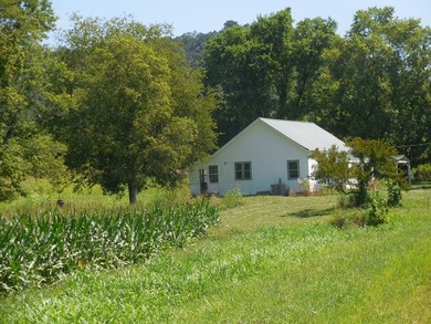 23 Acres on Roaring River Property borders TVA on Roaring River - photo 5