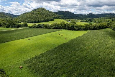 23 Acres on Roaring River Property borders TVA on Roaring River - photo 7