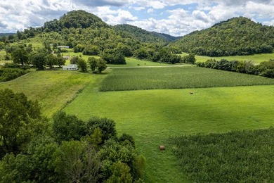 23 Acres on Roaring River Property borders TVA on Roaring River - photo 8