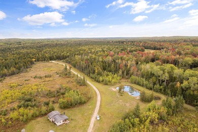 (private lake, pond, creek) Acreage For Sale in Gaylord Michigan