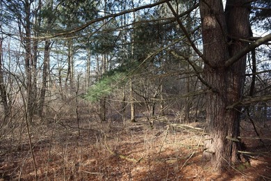 Tucked away off the road sits a one room tiny cabin perfect for - photo 14