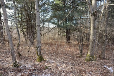 Tucked away off the road sits a one room tiny cabin perfect for - photo 15