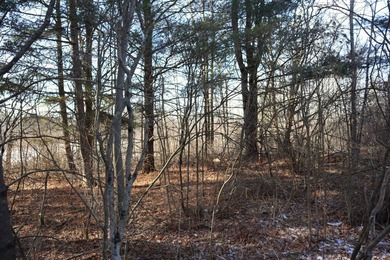 Tucked away off the road sits a one room tiny cabin perfect for - photo 18