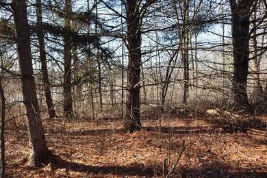Tucked away off the road sits a one room tiny cabin perfect for - photo 19