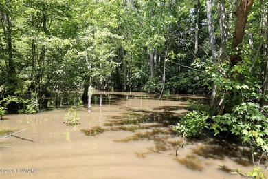Located just outside of Henderson and just downriver from Tull - photo 34