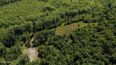 Located just outside of Henderson and just downriver from Tull - photo 42