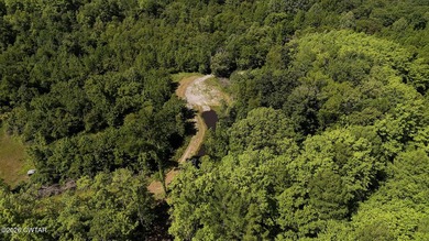 Located just outside of Henderson and just downriver from Tull - photo 50