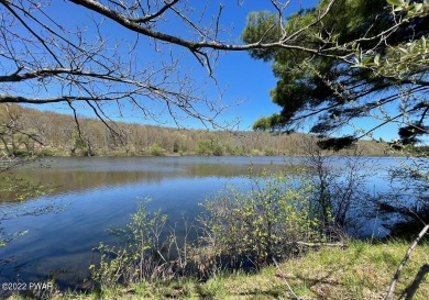 Bunnells Pond Lot For Sale in Honesdale Pennsylvania
