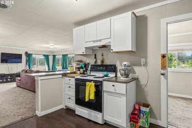 Gorgeous lake and mountain views from this cozy and affordable - photo 6