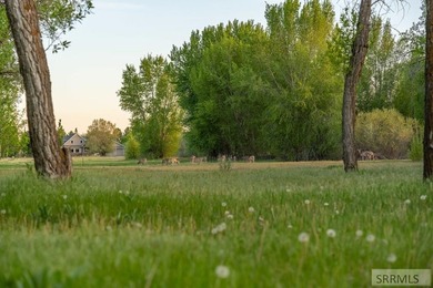 Exclusive Luxury Homesite Opportunity - Design-Controlled Build - photo 28