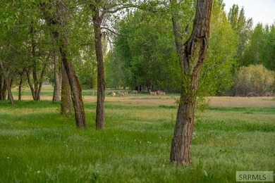 Exclusive Luxury Homesite Opportunity - Design-Controlled Build - photo 29