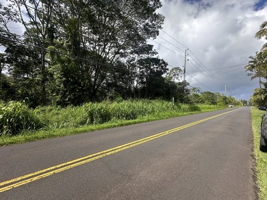 Great location at the top of Leilani Estates. A unique find - photo 3