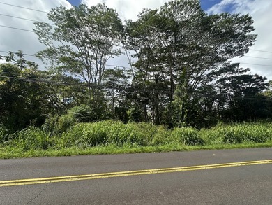 Great location at the top of Leilani Estates. A unique find - photo 6