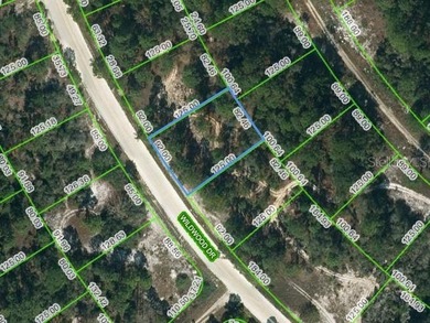 Lake Grassy Lot For Sale in Lake Placid Florida