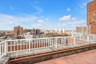 Welcome to Lane Towers, a luxury high-rise co-op with a 24-hour - photo 12