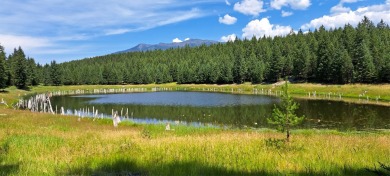 (private lake, pond, creek) Acreage For Sale in Eureka Montana