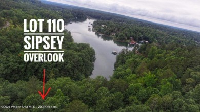 MOTIVATED SELLER! Beautiful lot in the popular Sipsey Overlook - Lake Lot For Sale in Double Springs, Alabama