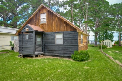 Private Waterfront Oasis on Lake Palestine - photo 45