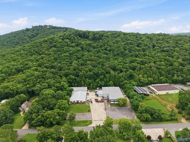 Located in the city of Guntersville, Industrial District. 2 - photo 6