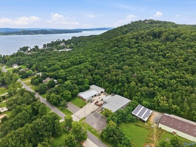 Located in the city of Guntersville, Industrial District. 2 - photo 7