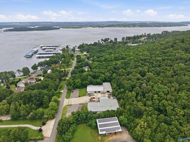 Located in the city of Guntersville, Industrial District. 2 - photo 8