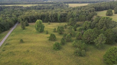 Lake Acreage For Sale in Greenbrier, Arkansas