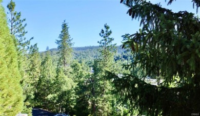 429500 - photo 14