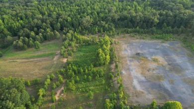 Lake Acreage For Sale in Greenbrier, Arkansas