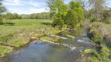 (private lake, pond, coastal) Acreage For Sale in Fort Payne Alabama