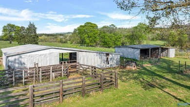 61 ACRE Cattle Farm with HOME! Wills Creek flows through the - photo 6