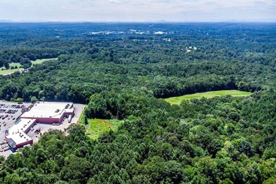Possible mixed-use zoning allows for both commercial & - photo 2