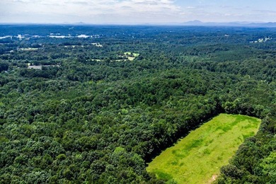 Possible mixed-use zoning allows for both commercial & - photo 7