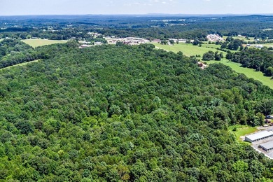 Possible mixed-use zoning allows for both commercial & - photo 10