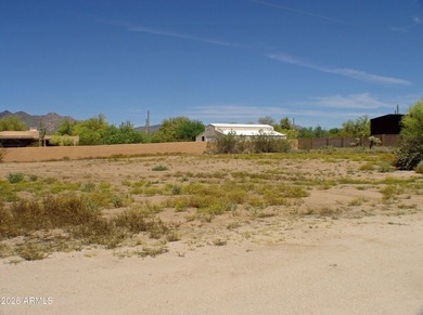 HOME TO BE BUILT: Multiple sets of plans have been completed and - photo 49