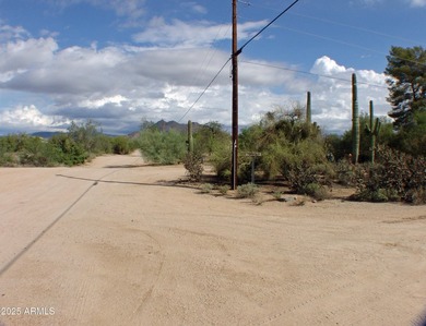 HOME TO BE BUILT: Multiple sets of plans have been completed and - photo 50